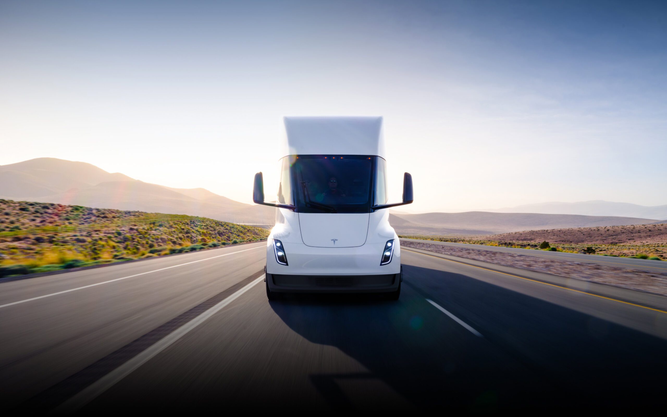 Is Tesla’s Semi for the Birds?